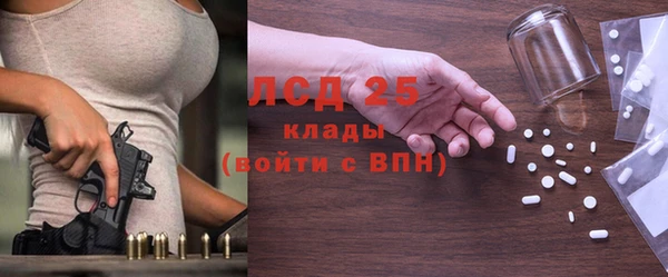 a pvp Бородино