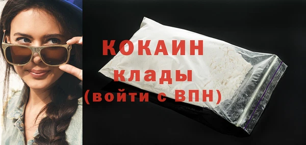 a pvp Бородино