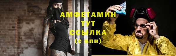 a pvp Бородино