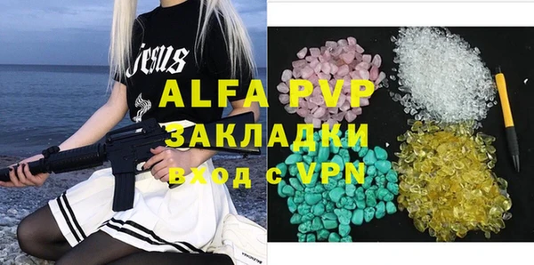 a pvp Бородино